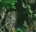 /album/fotogaleria%3a-dise%c3%b1os/cm103b-jpg/