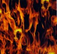 /album/fotogaleria%3a-dise%c3%b1os/fl01a-1-jpg/